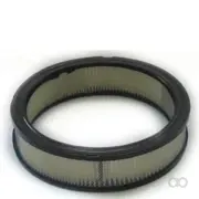 Fleetguard - AF26301 - Luftfilterelement