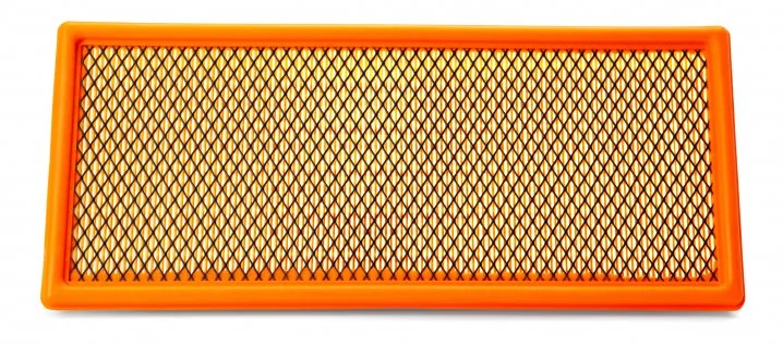 Fleetguard - AF55741 - Luftfilterelement