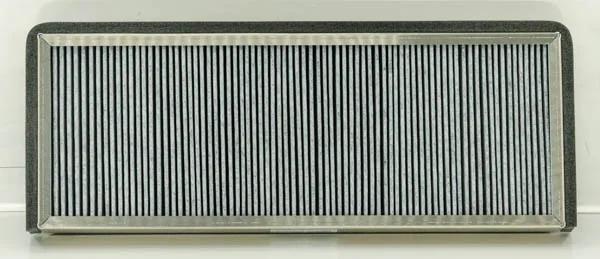Fleetguard - AF55883 - Innenraumfilterelement (Aktivkohle)