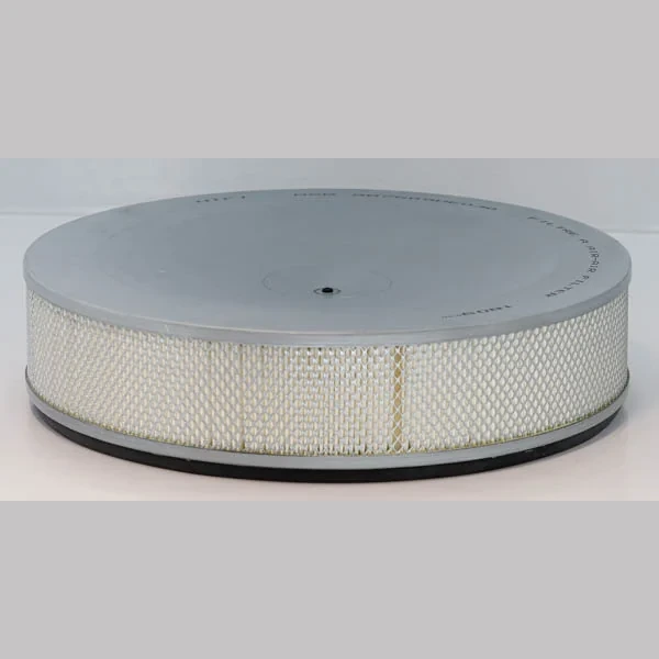 Hifi Filter - ASR 987609HE030 - Luftfilterelement