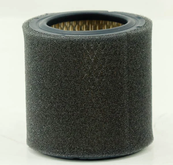 Hifi Filter - SA 19536 - Luftfilterelement
