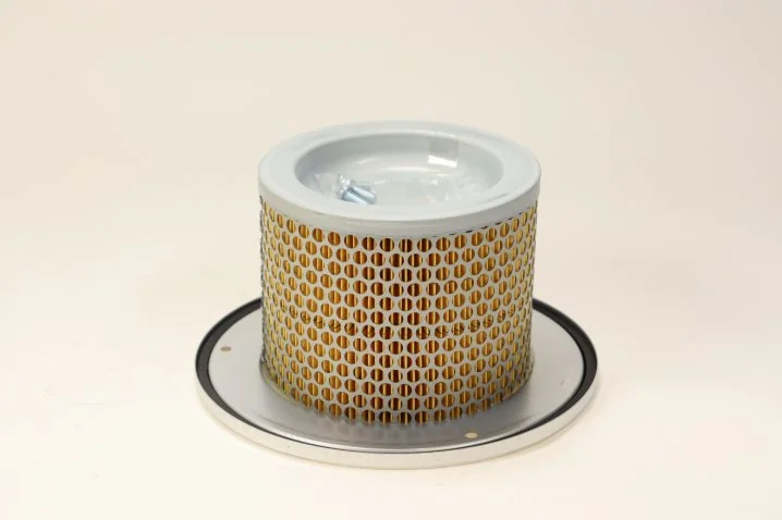 Mann-Filter - C 1374/2 KIT - Luftfilterelement (Servicekit)