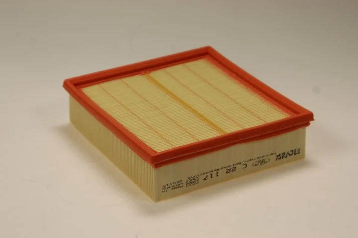 Mann-Filter - C 22 117 - Luftfilterelement
