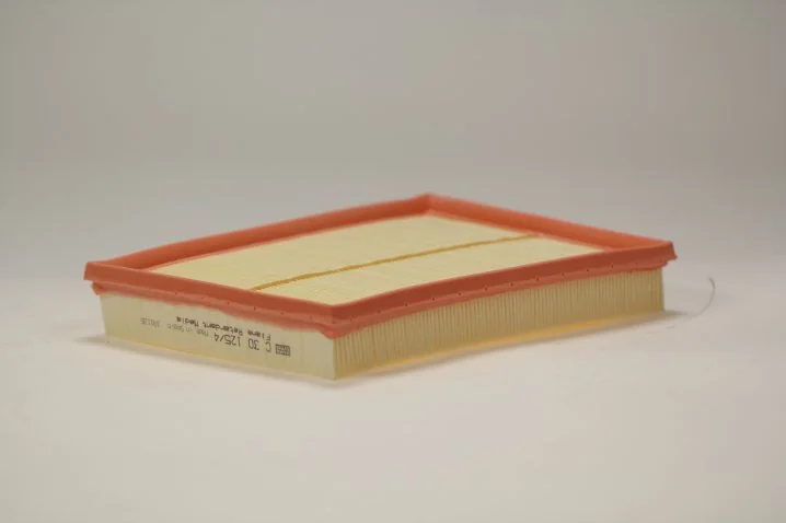Mann-Filter - C 30 125/4 - Luftfilterelement