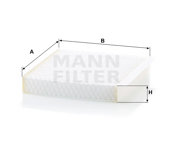 Mann Filter