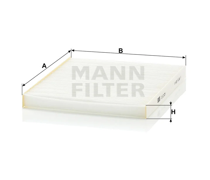 Mann Filter