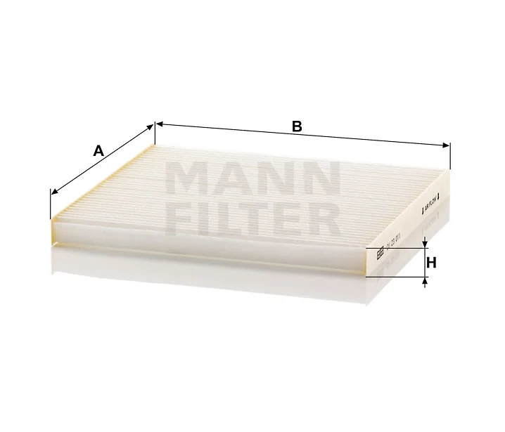 Mann Filter