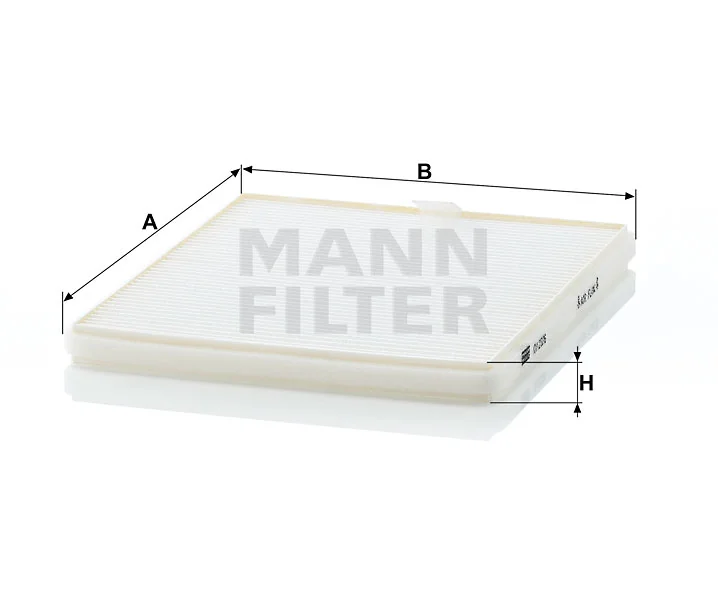 Mann Filter