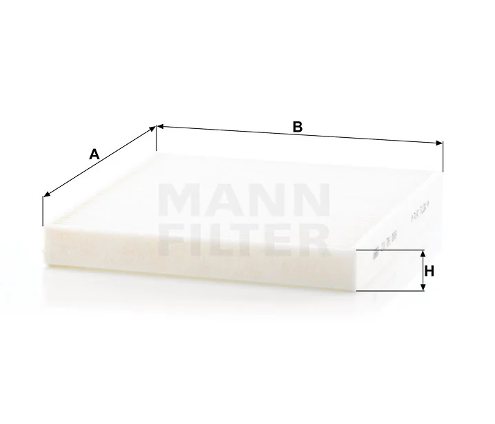 Mann Filter