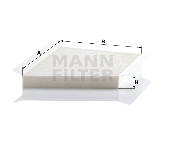 Mann Filter