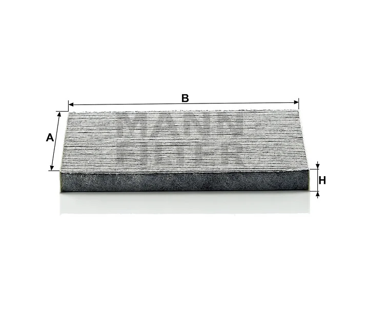Mann Filter