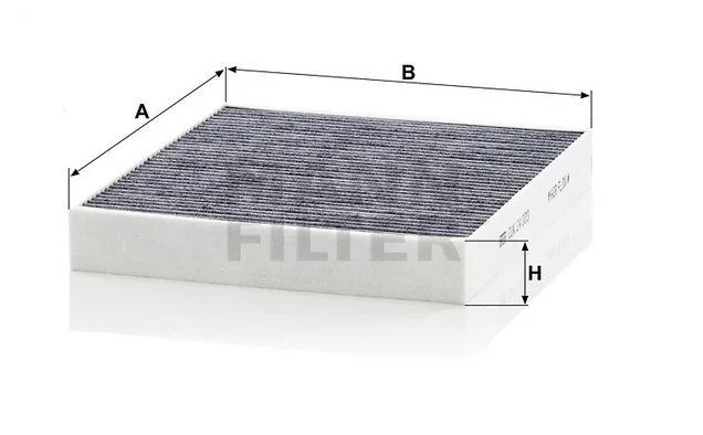 Mann Filter