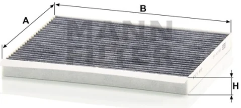 Mann Filter