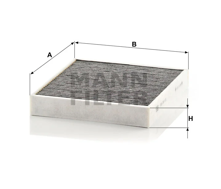 Mann Filter