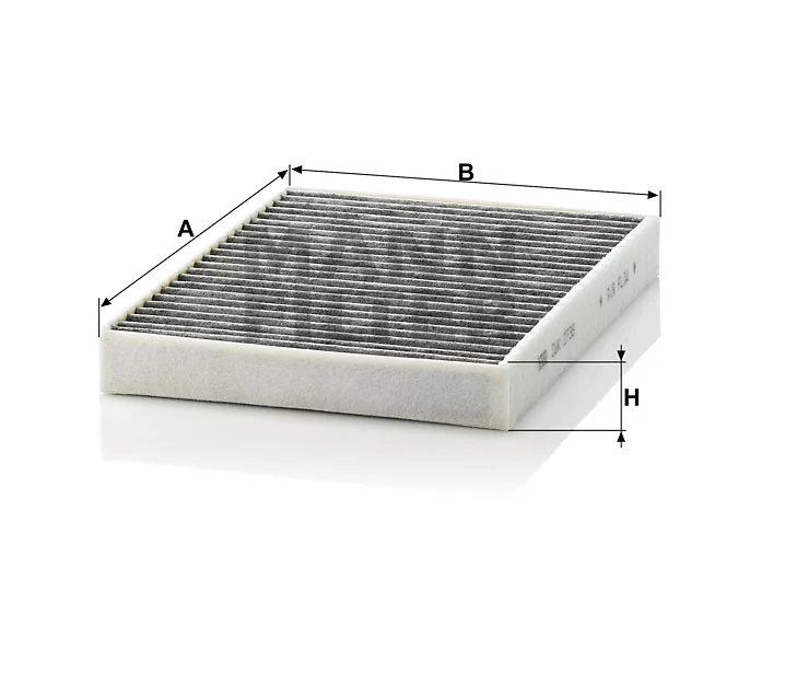 Mann Filter