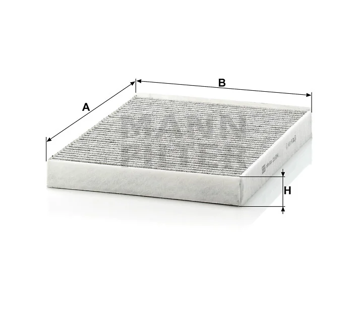 Mann Filter