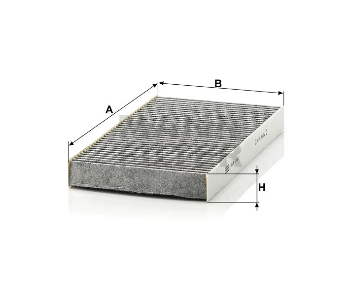 Mann Filter