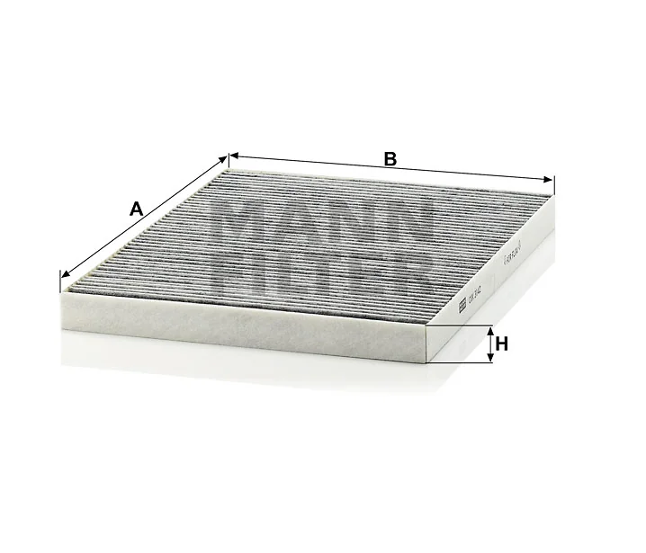 Mann Filter