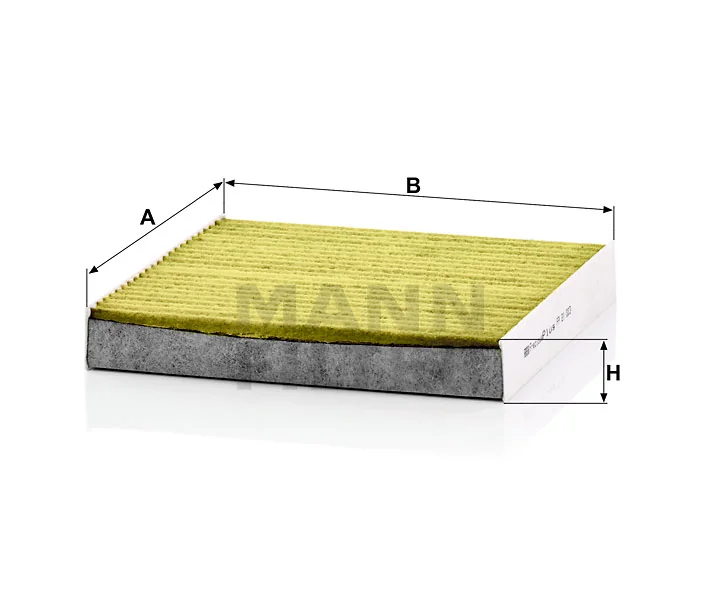 Mann Filter