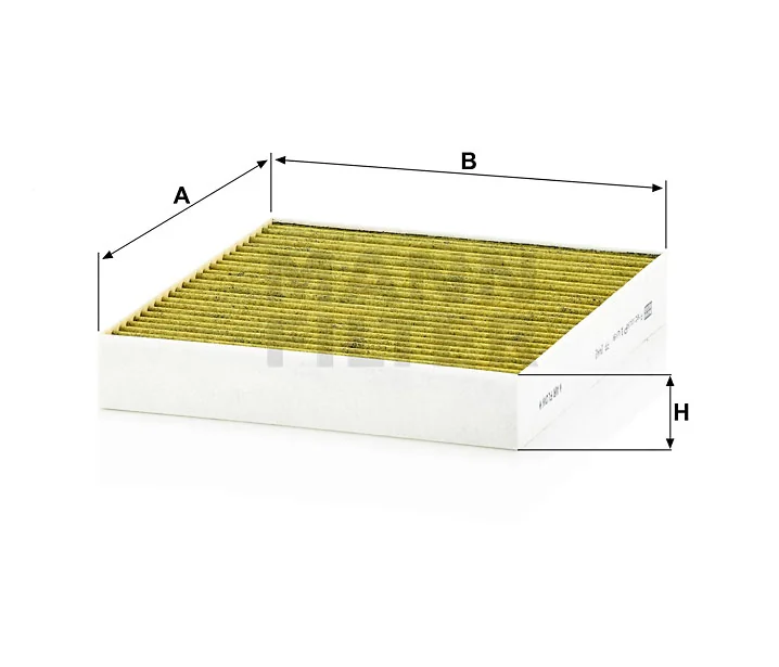 Mann Filter