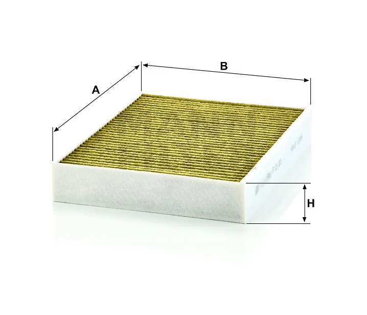 Mann Filter