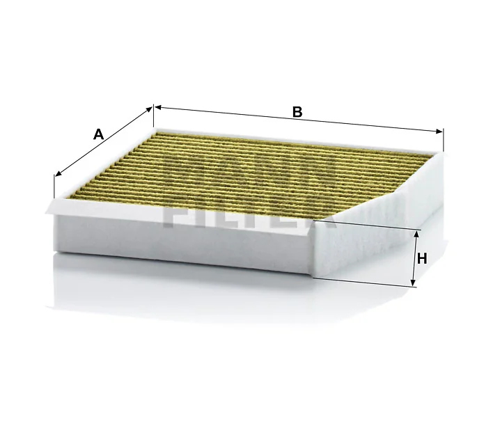 Mann Filter
