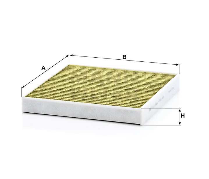 Mann Filter