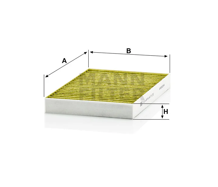Mann Filter