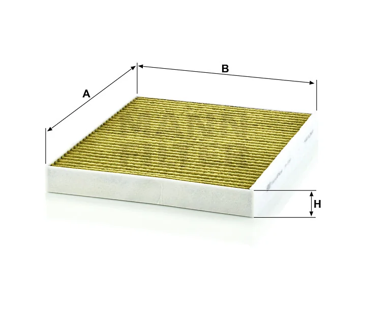 Mann Filter