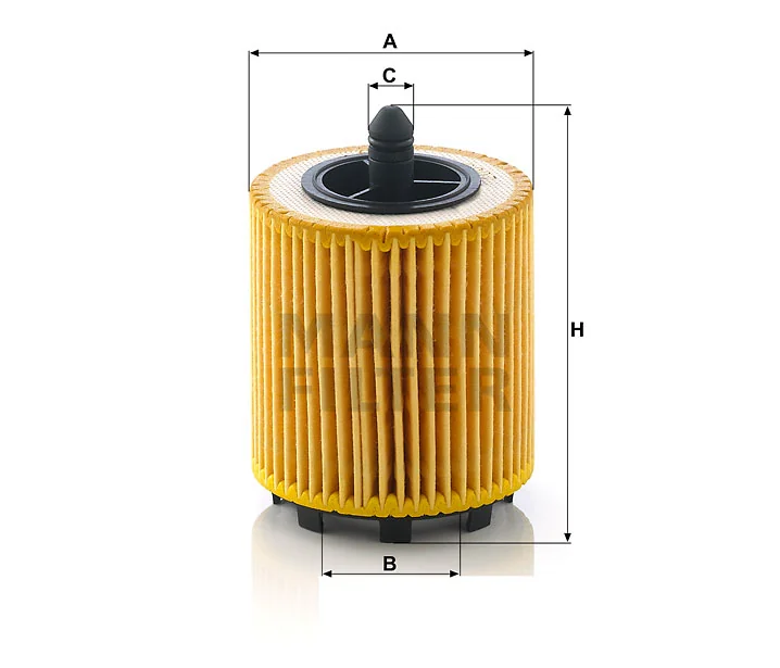 Mann Filter