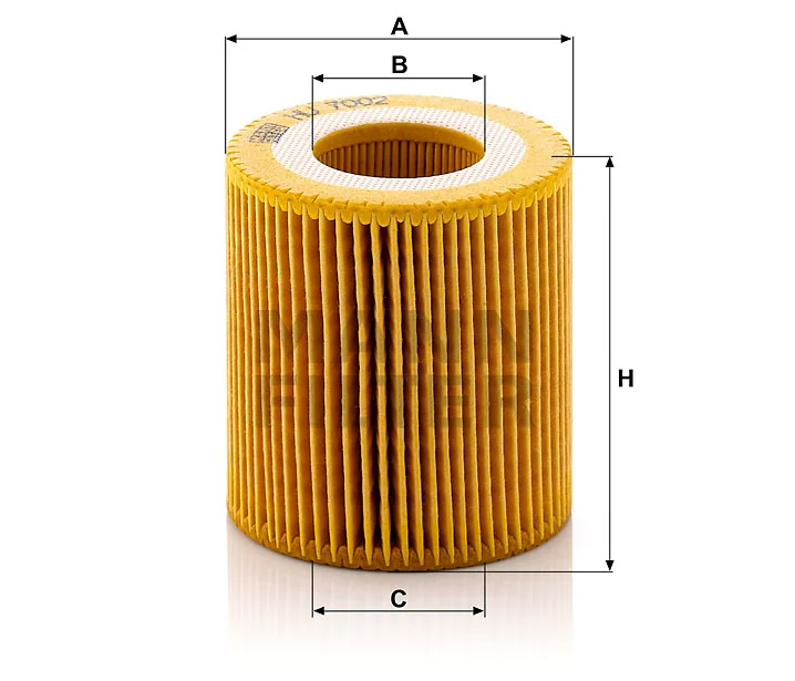 Mann Filter