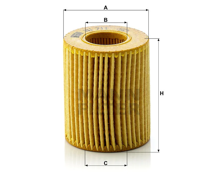 Mann Filter