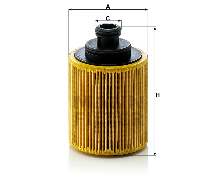 Mann Filter