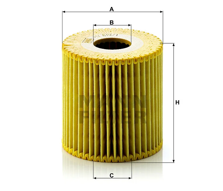 Mann Filter