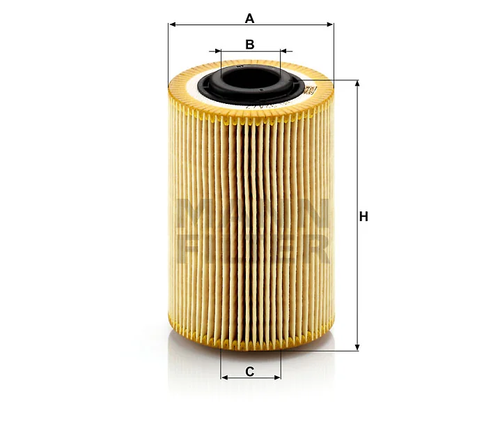 Mann Filter