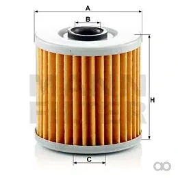 Mann Filter