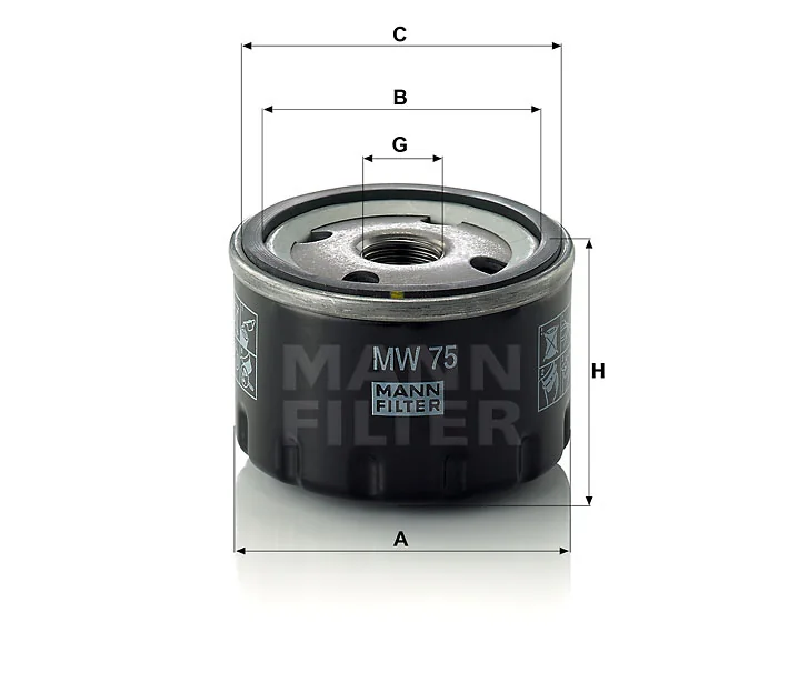 Mann Filter