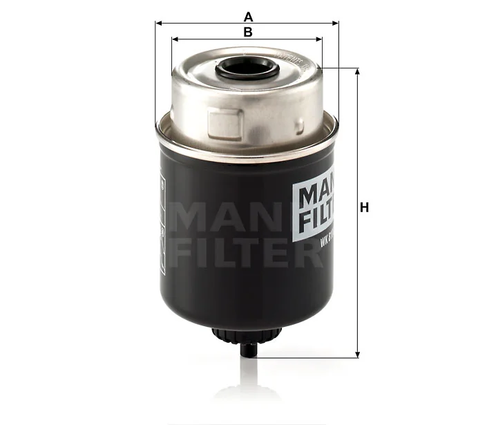 Mann Filter