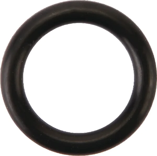 AGCO - 126417 - O-Ring