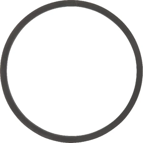 AGCO - F119200050050 - Thermostatdichtung