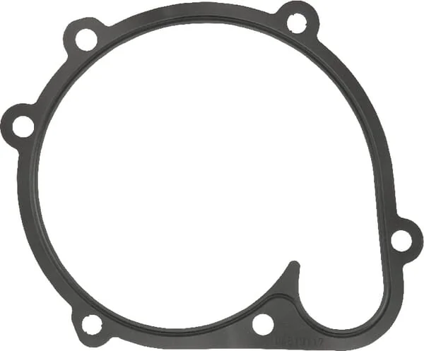 AGCO - F842201610080 - Wasserpumpendichtung