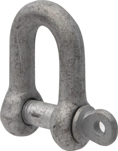 AGCO - FEL124368 - Schaekel