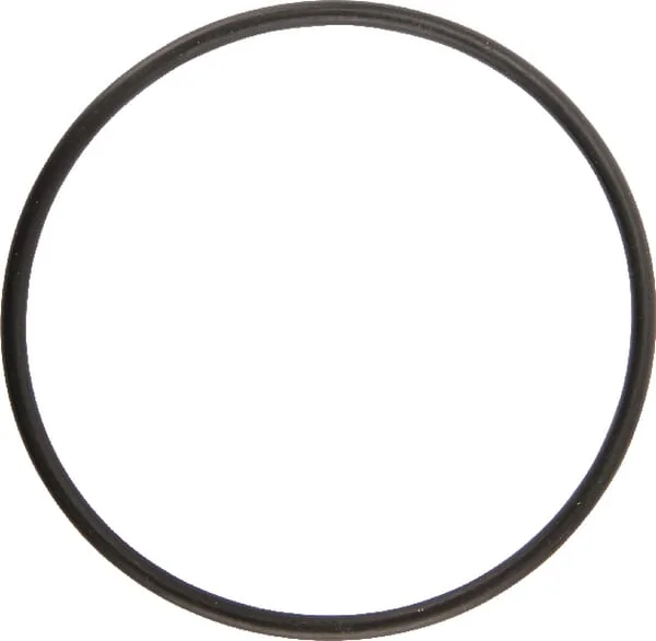 Agria - AGW02158 - O-Ring Dichtring 80x3,5