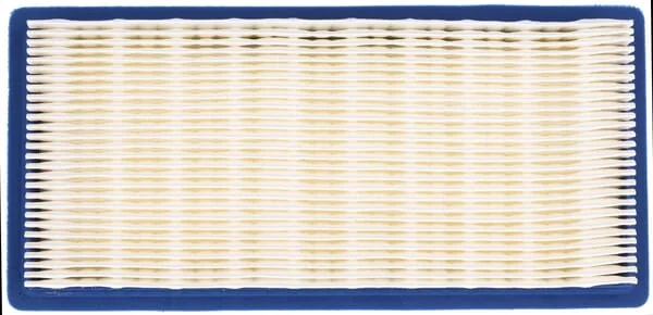 Agria - AGW410049 - Luftfiltereinsatz
