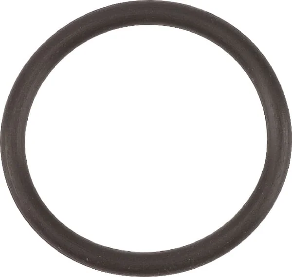 Agria - AGW415039 - O-Ring-Dichtring