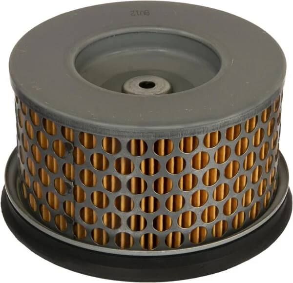 Agria - AGW419011 - Luftfiltereinsatz