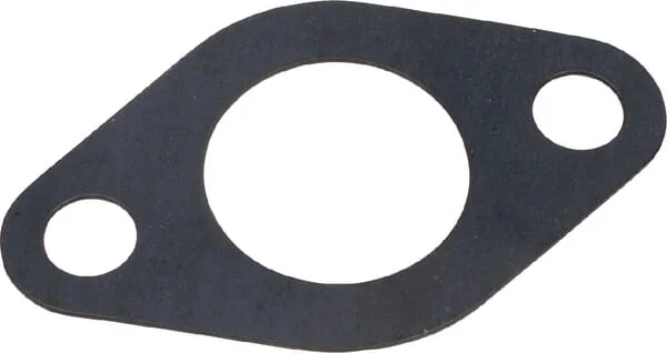 Agria - AGW58607 - Dichtung
