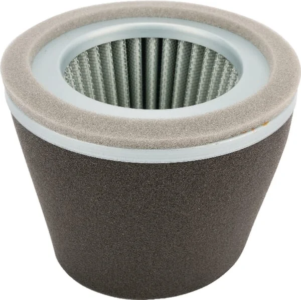 Agria - AGW70209 - Luftfilter