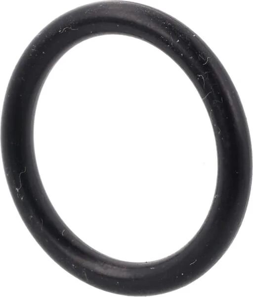 Agria - AGW73661 - O-Ring Dichtring