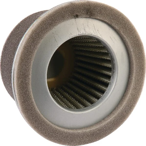 Agria - AGW74900 - Luftfiltereinsatz